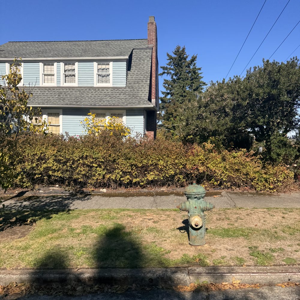 A pale blue two-story home with a steep roof behind a hedge
