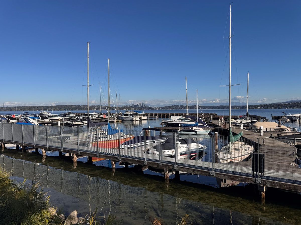 Sailboats and powerboats at a Leschi marina dock on Lake Washington