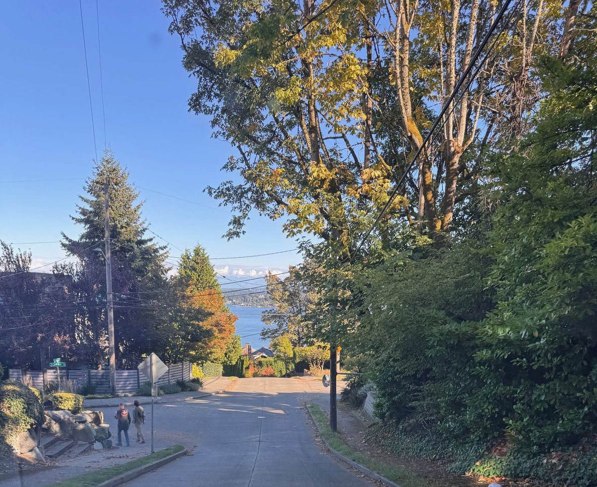 A leafy Leschi street dropping toward Lake Washington