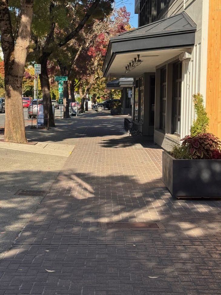 A tree-lined brick sidewalk along the Leschi waterfront shops