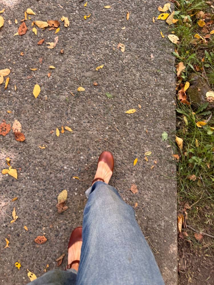 Walking a leaf-covered sidewalk in Mount Baker in the fall