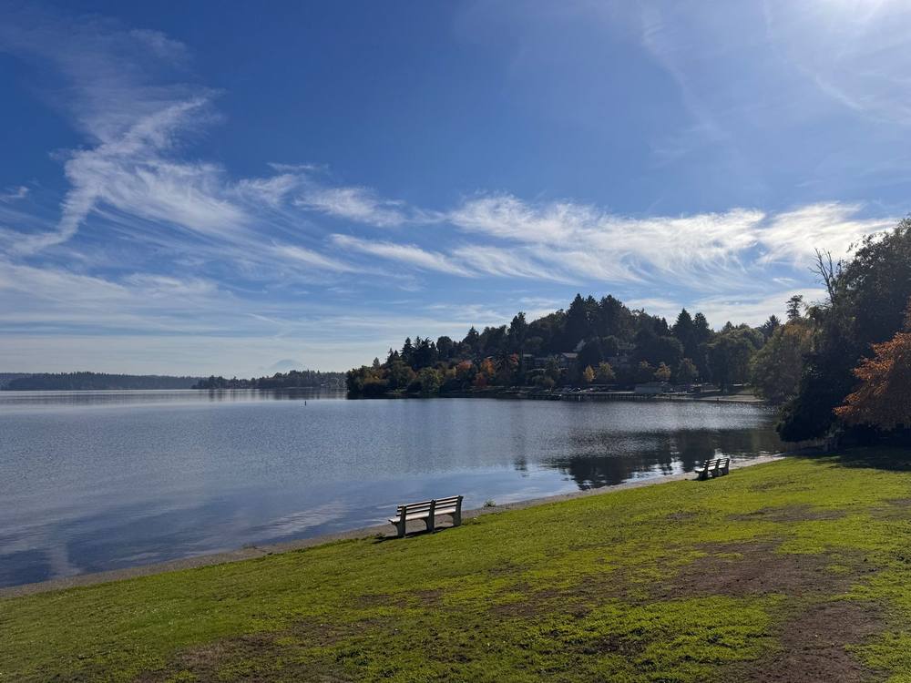 Benches on the lawn beside Lake Washington, with Mount Rainier in the distance