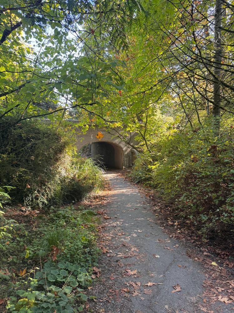 A wooded path to a stone underpass in Mount Baker Park, near Colman Park