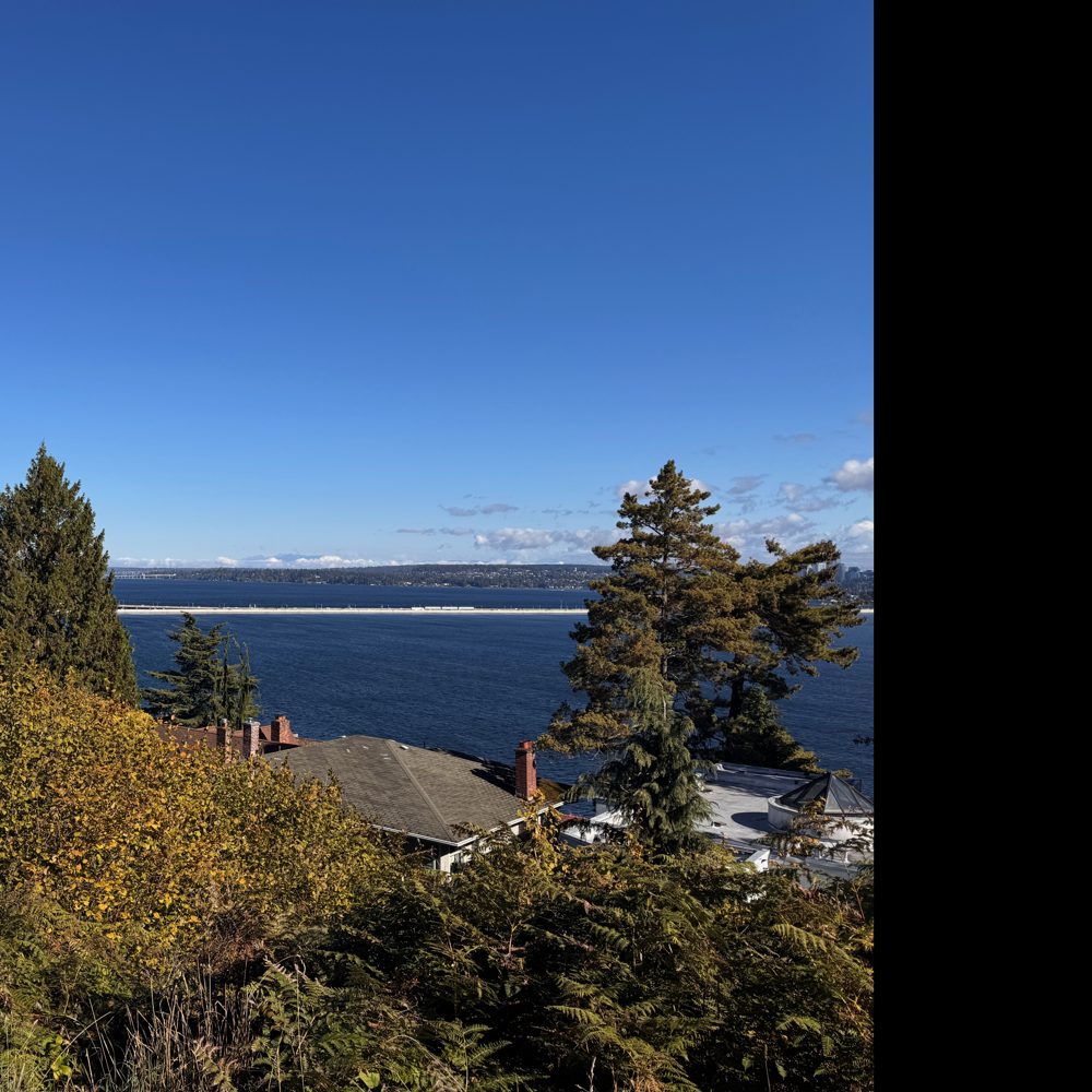 Rooftops on a Mount Baker slope looking east over Lake Washington
