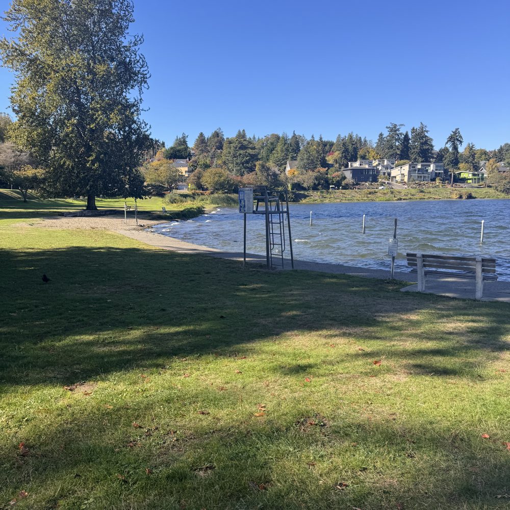A sunny lawn running down to the swimming area at Seward Park