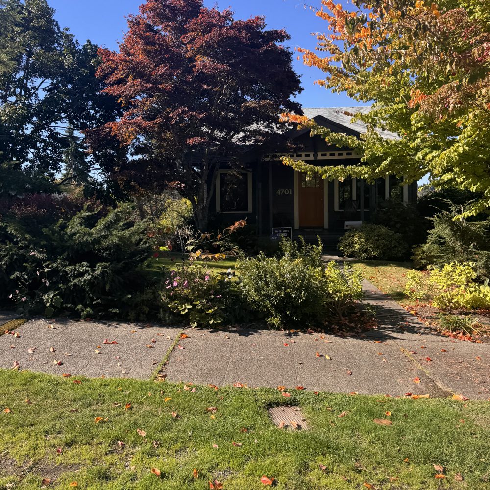 A Craftsman bungalow behind maples in fall color