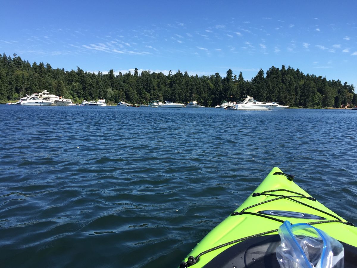 The bow of a green kayak facing boats anchored in Andrews Bay, below the forested peninsula