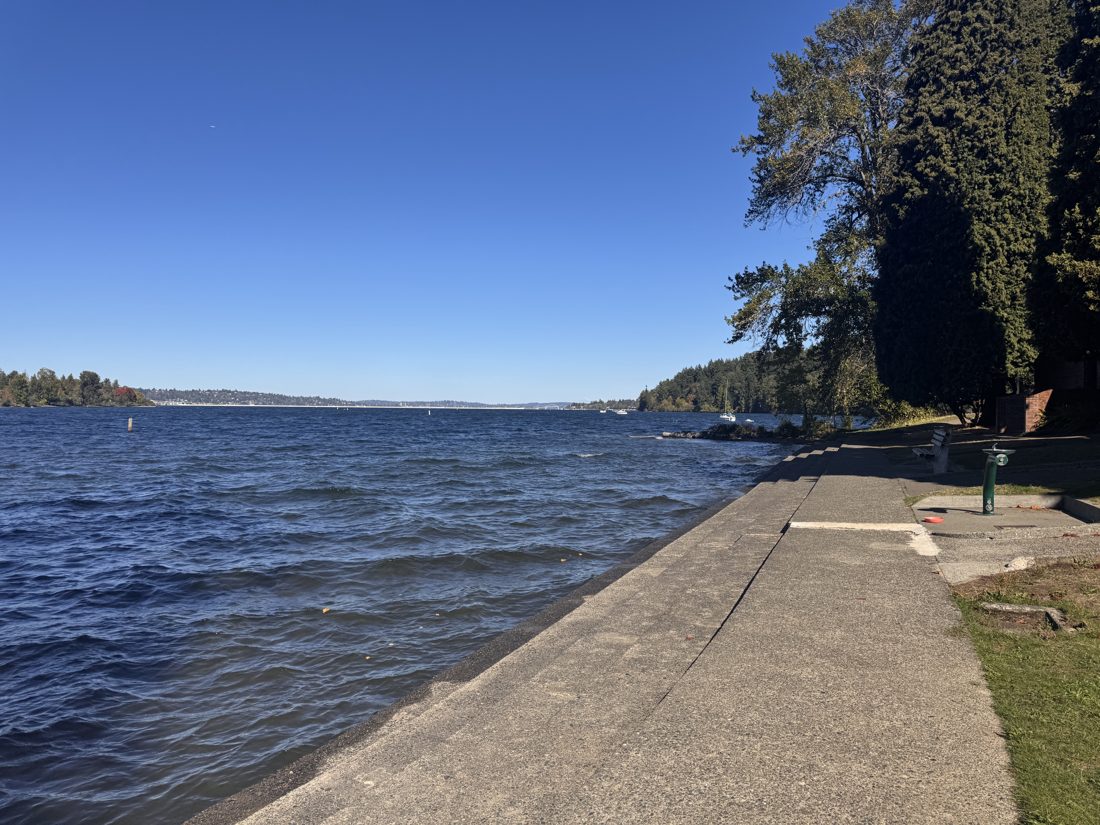 The paved shoreline path curving along Lake Washington